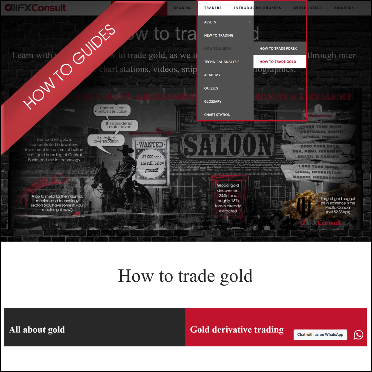 How to trade guides with allFX-Consult