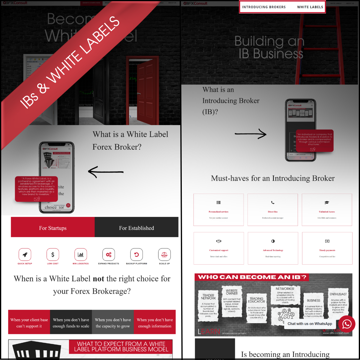 All about IBs and White Labels with allFX-Consult. Forex consulting at its best.